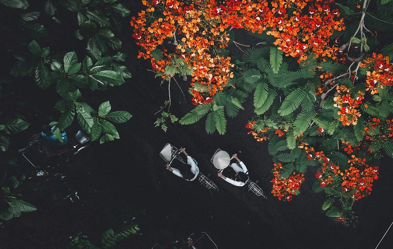 Nature Connection